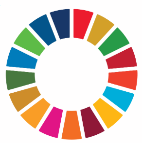 Agenda ONU 2030 per lo sviluppo sostenibile
